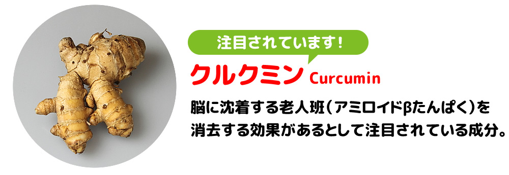 注目されています！クルクミン（Curcumin）脳に沈着する老人班（アミロイドβたんぱく）を消去する効果があるとして注目されている成分。
