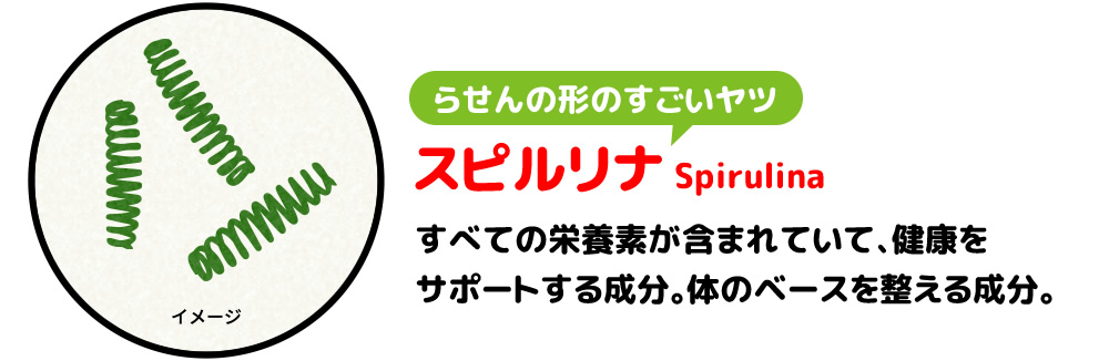 らせんの形のすごいヤツ、スピルリナ（Spirulina）すべての栄養素が含まれていて、健康をサポートする成分。体のベースを整える成分。