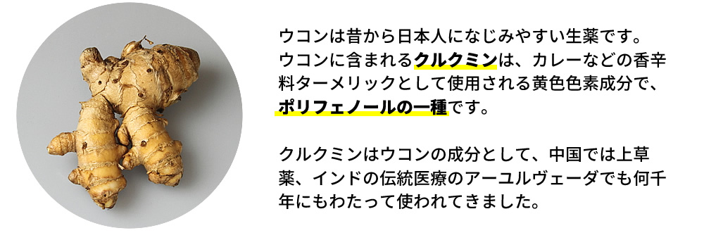 ウコンは昔から日本人になじみやすい生薬です。ウコンに含まれるクルクミンは、カレーなどの香辛料ターメリックとして使用される黄色色素成分で、ポリフェノールの一種です。クルクミンはウコンの成分として、中国では上草薬、インドの伝統医療のアーユルヴェーダでも何千年にもわたって使われてきました。