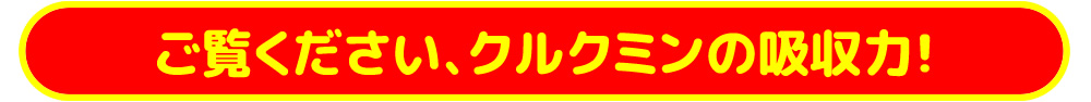ご覧ください、クルクミンの吸収力!