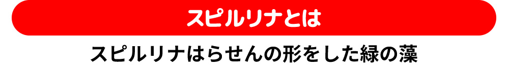 スピルリナとは／スピルリナはらせんの形をした緑の藻