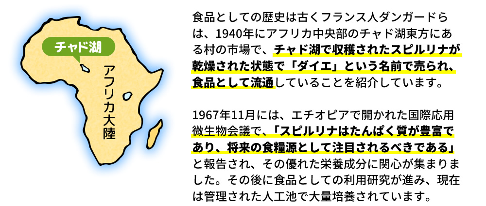 食品としての歴史は古くフランス人ダンガードらは、1940年にアフリカ中央部のチャド湖東方にある村の市場で、チャド湖で収穫されたスピルリナが乾燥された状態で「ダイエ」という名前で売られ、食品として流通していることを紹介しています。1967年11月には、エチオピアで開かれた国際応用微生物会議で、「スピルリナはたんぱく質が豊富であり、将来の食糧源として注目されるべきである」と報告され、その優れた栄養成分に関心が集まりました。その後に食品としての利用研究が進み、現在は管理された人工池で大量培養されています。