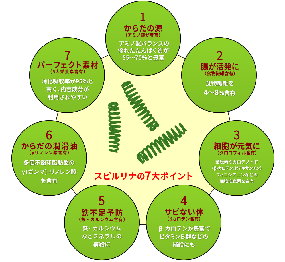 スピルリナの7大ポイント／ 1.からだの源（アミノ酸が豊富）アミノ酸バランスの優れたたんぱく質が55～70%と豊富　2.腸が活発に（食物繊維含有）食物繊維を4～8%含有　3.細胞が元気に（クロロフィル含有）葉緑素やカロテノイド（β-カロテン､ゼアキサンチン）フィコシアニンなどの植物性色素を含有　4. サビない体（βカロテン含有）β-カロテンが豊富でビタミンＢ群などの補給にも　5.鉄不足予防（鉄・カルシウム含有）鉄・カルシウムなどミネラルの補給に　6.からだの潤滑油（γリノレン酸含有）多価不飽和脂肪酸のγ(ガンマ)-リノレン酸を含有　7.パーフェクト素材（5大栄養素含有）消化吸収率が95%と高く､内容成分が利用されやすい